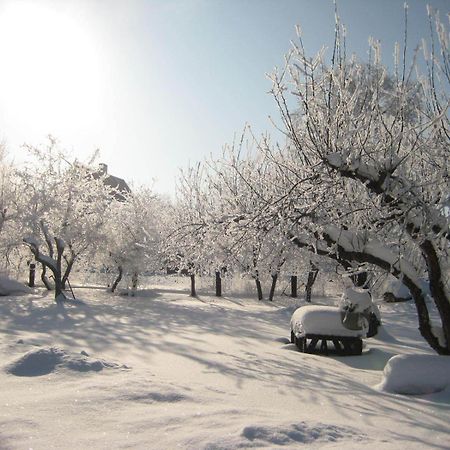Piiri Holiday House Otepää Dış mekan fotoğraf